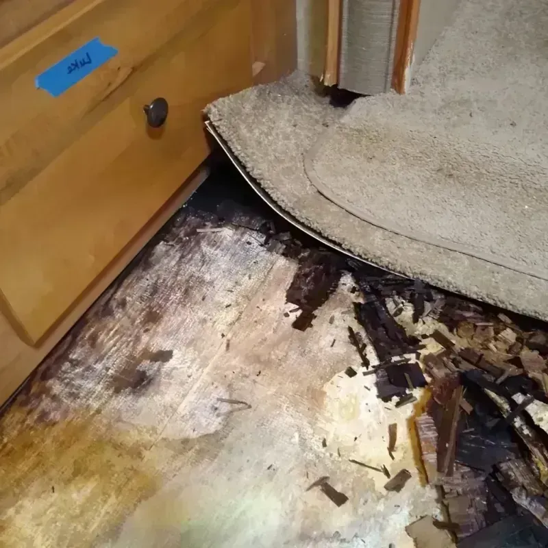 Wood Floor Water Damage in Mount Plymouth, FL